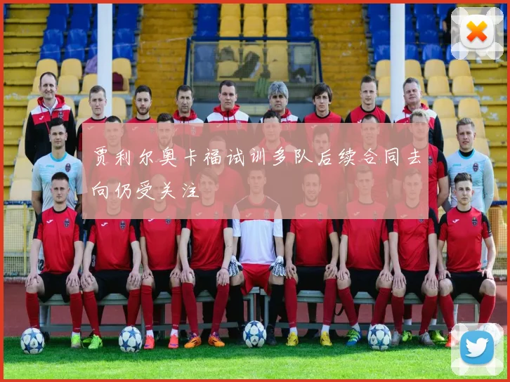 贾利尔奥卡福试训多队后续合同去向仍受关注