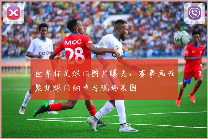 世界杯足球门图片曝光,赛事画面聚焦球门细节与现场氛围