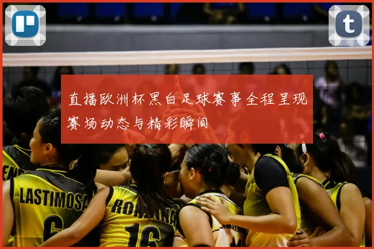 直播欧洲杯黑白足球赛事全程呈现赛场动态与精彩瞬间