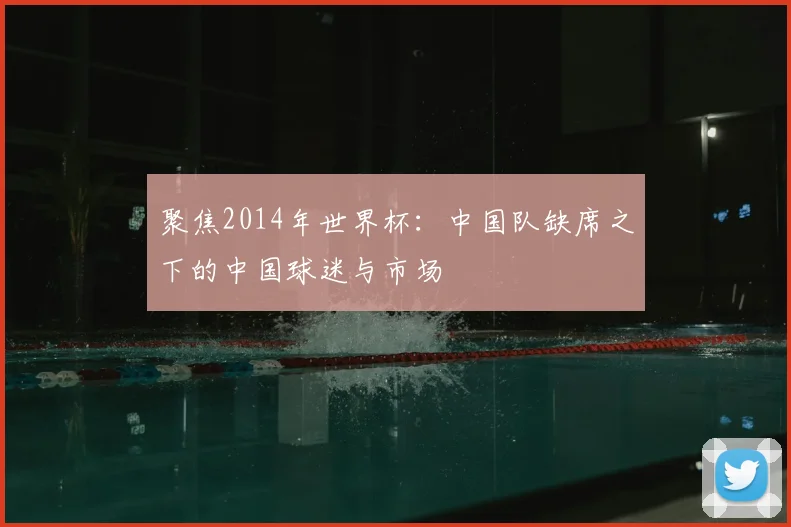 聚焦2014年世界杯:中国队缺席之下的中国球迷与市场